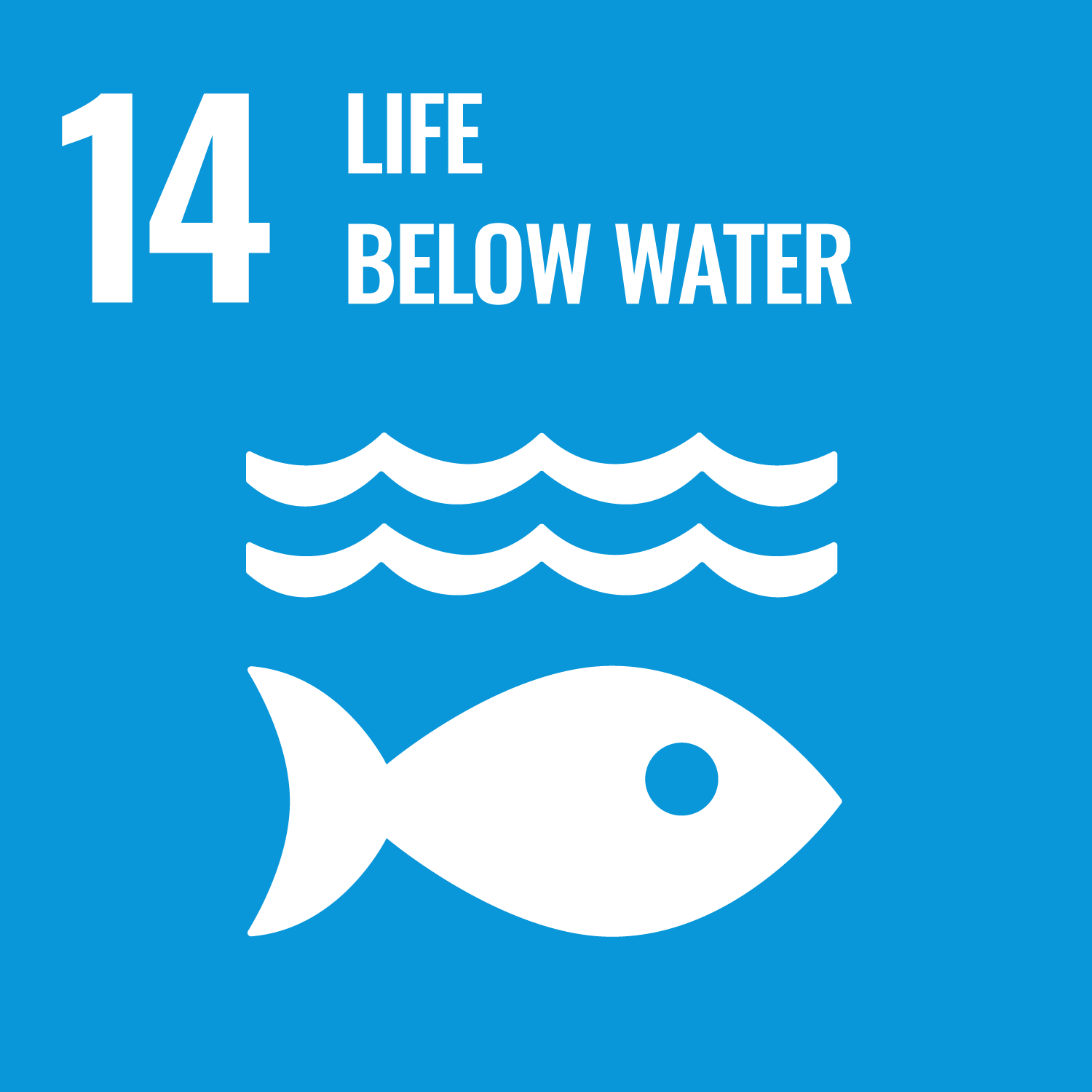 SDG